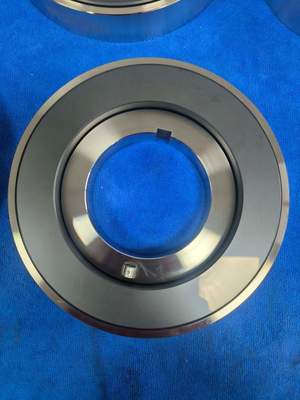 SiC Thrust Washer for Canned Motor Pumps