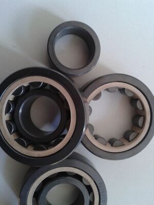 Ceramic Cylindrical Roller Bearings Single Row with Si3N4 Material and PEEK Cage for High Temperature Resistance